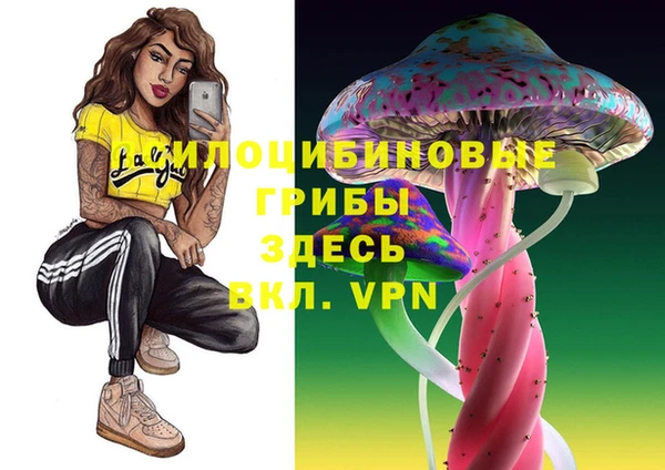 mix Богородицк