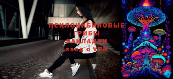 2c-b Богородск