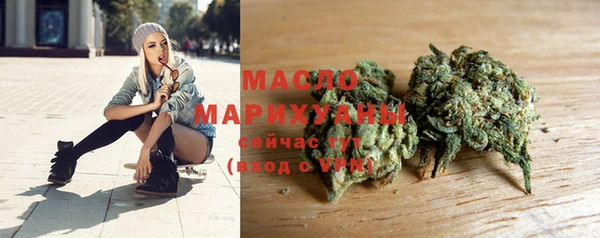 mix Богородицк