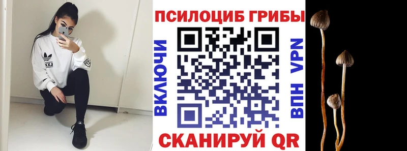 купить наркотики цена Кашин Галлюциногенные грибы прущие грибы